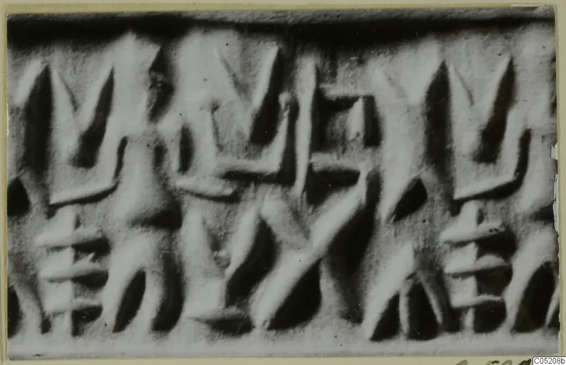 Close-up photograph of a seal face with rows of wedge-shaped signs cut into it.