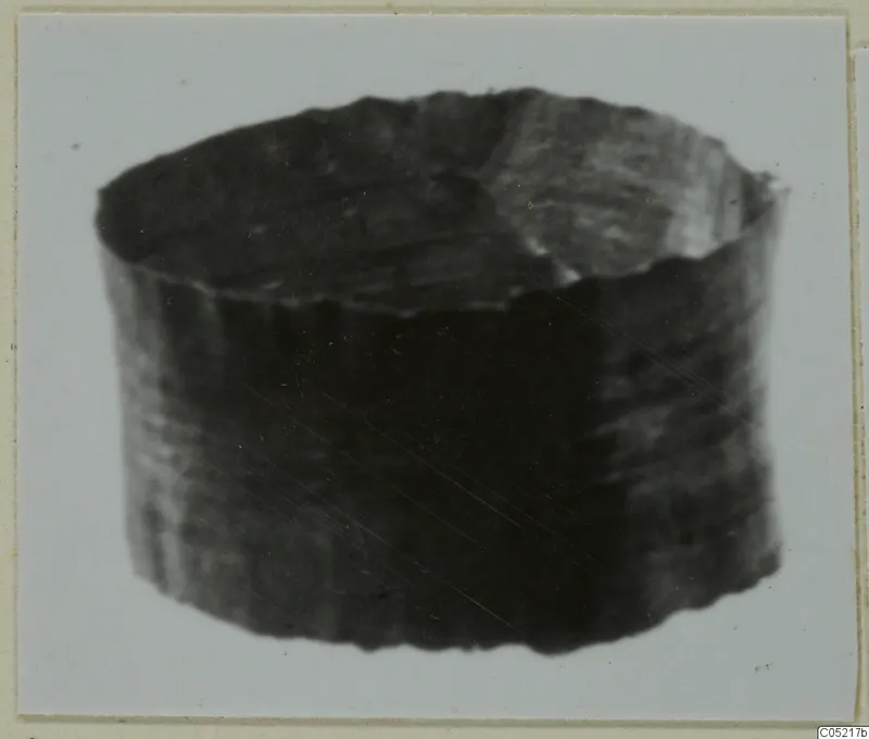 Blurred photograph of a dark cylindrical object with a flat top against a pale background