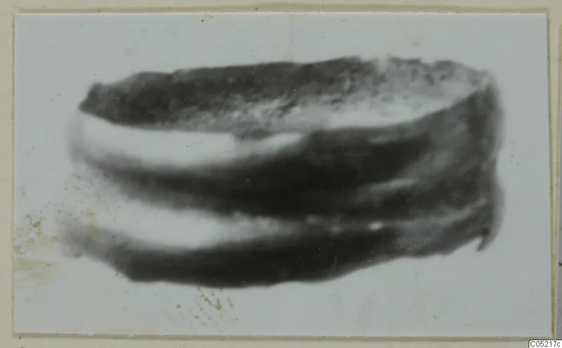 Blurred close view of a single ring-like find from the Kastros tombs at Lapithos