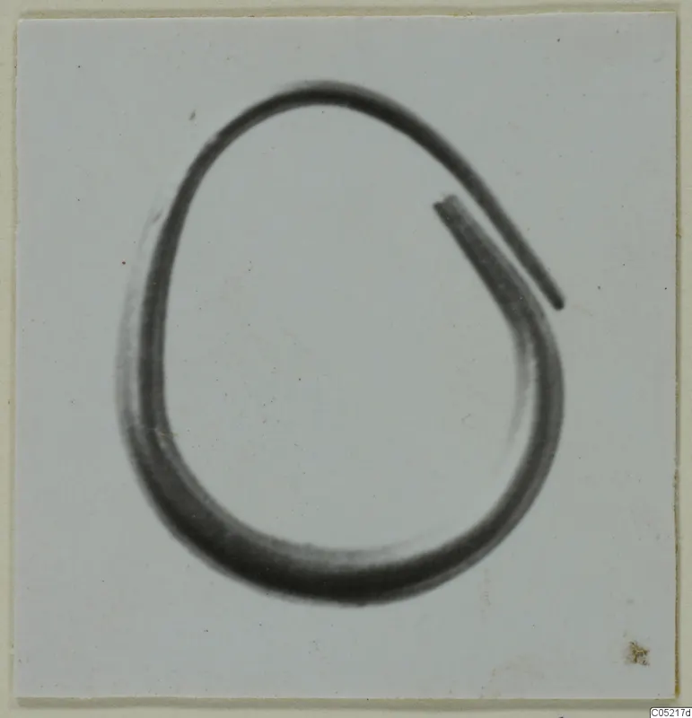 Single open metal loop with one tapering end, photographed on a pale grey card mount