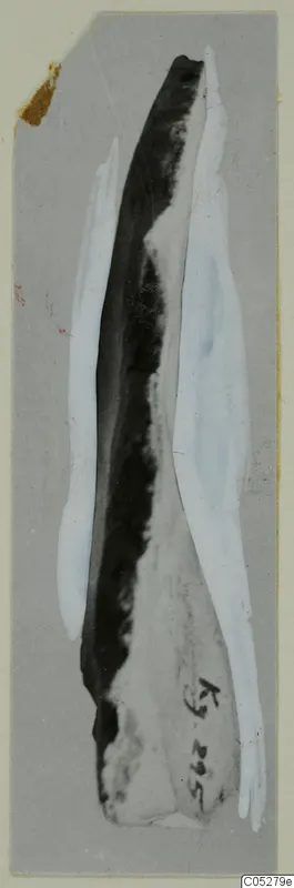 Find from Kythrea: a long, narrow, pointed object photographed vertically on a grey card mount