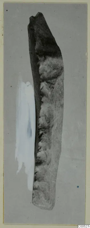 Elongated stone fragment from Petra tou Limniti, photographed upright on a grey backdrop.