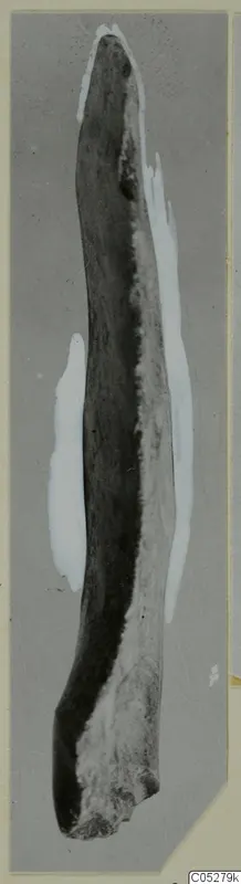 Long narrow find from Petra tou Limniti, tapering to a point at the top, mounted on a grey card.