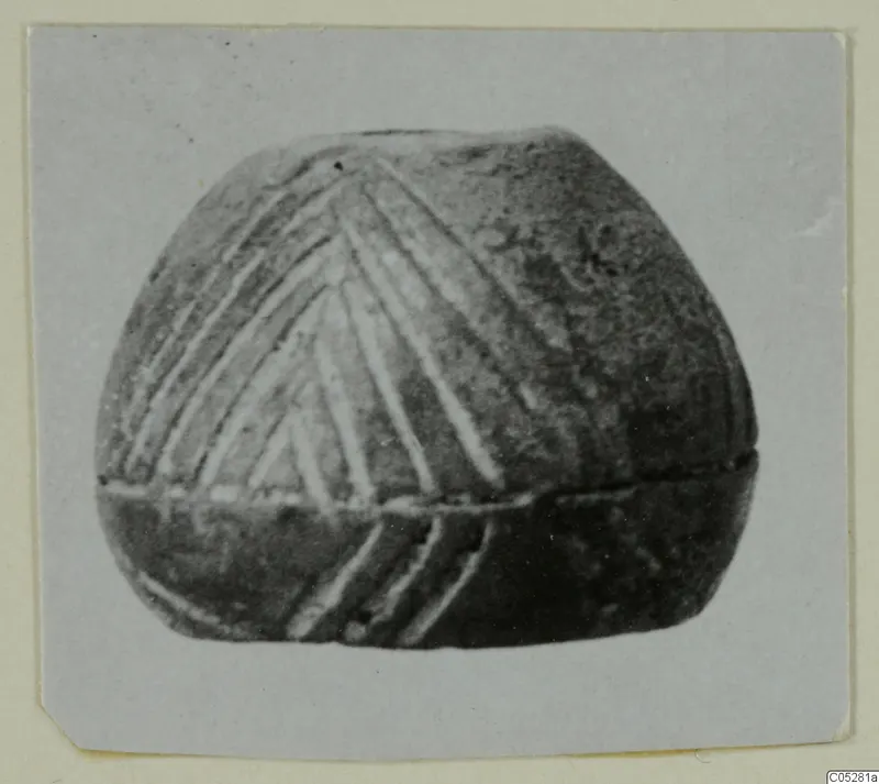 Rounded object with incised chevron lines above a raised horizontal ridge, shown in a close photograph.