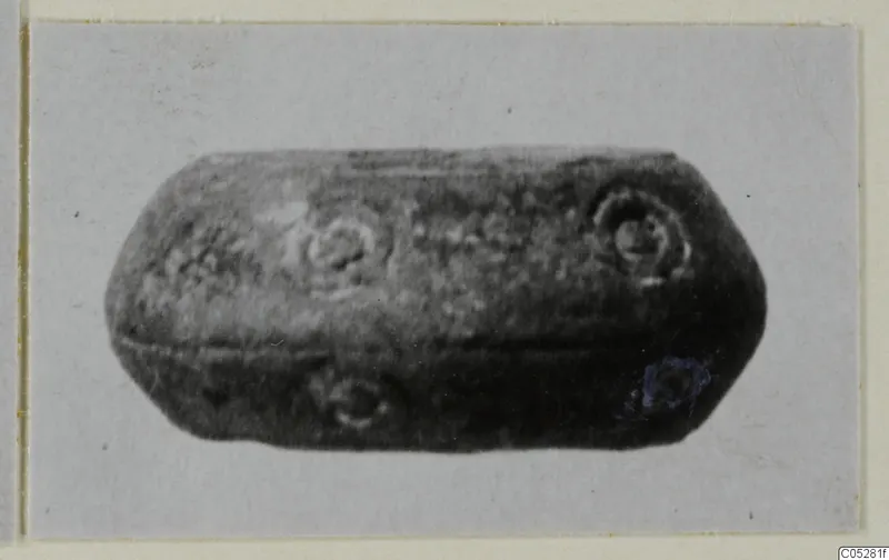 Small elongated bead-like object with circular ring motifs on its surface, shown on a card mount