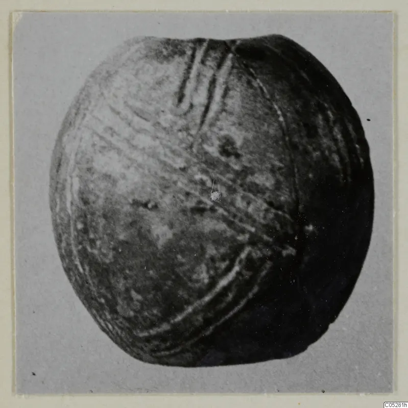 Rounded find with incised grooves, from the Vrysi tou Barba tombs at Lapithos