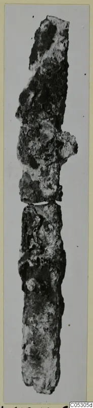 Long, heavily corroded iron object, photographed upright against a pale grey background, Lapithos find