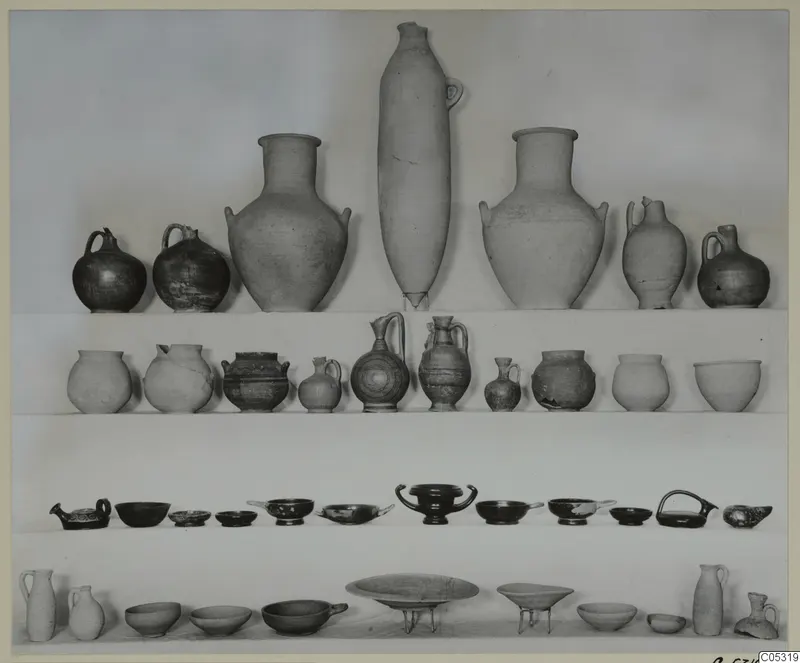 Pottery vessels from Marion, Tomb 39: jugs and bowls arranged in rows on shelves.