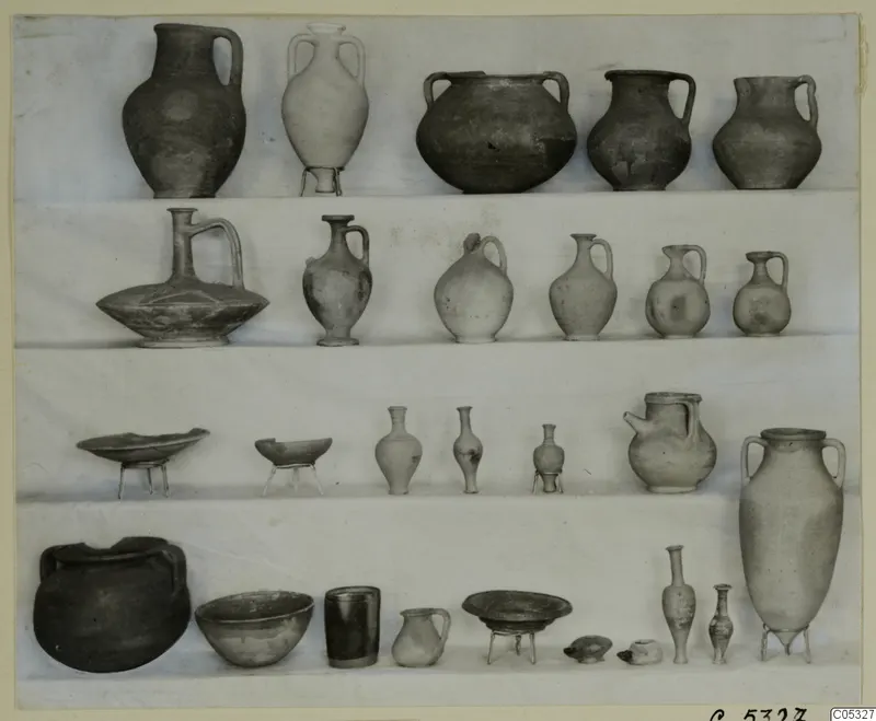 Pottery vessels from Tomb 9 at Marion, arranged in four rows on shelves against a light backdrop.