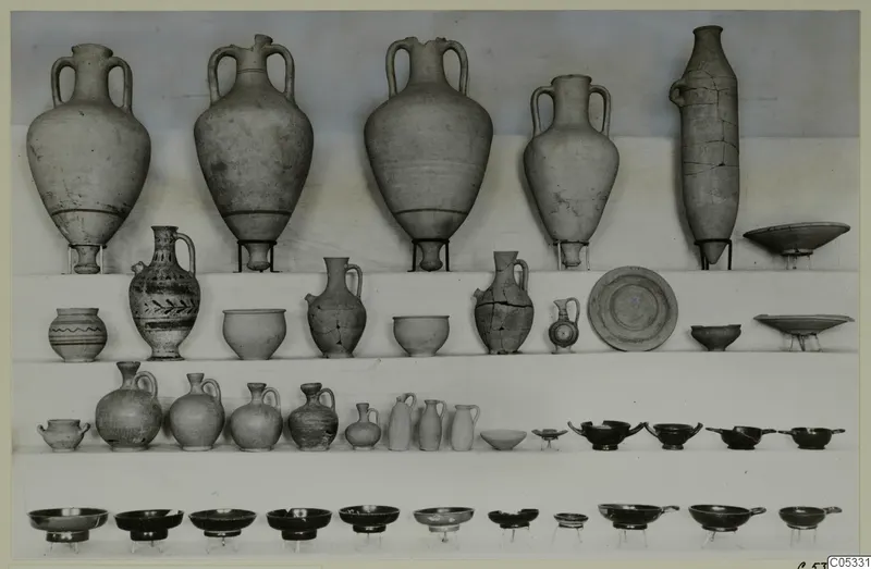 Pottery from Marion, Tomb 43: large jars, jugs, bowls and dark shallow cups arranged in rows on shelves.