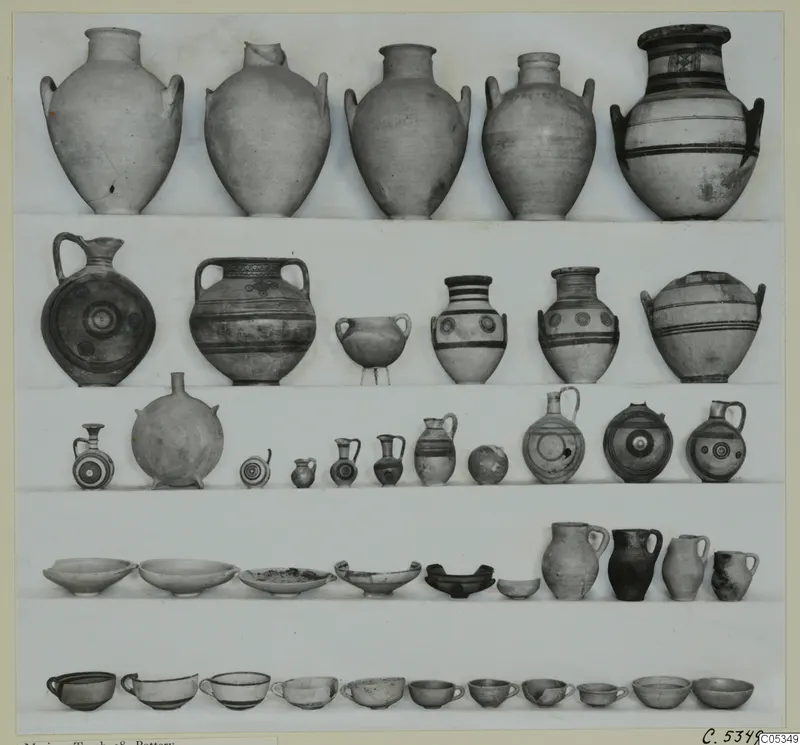 Pottery vessels from Marion, Tomb 98, set out in rows on a pale background