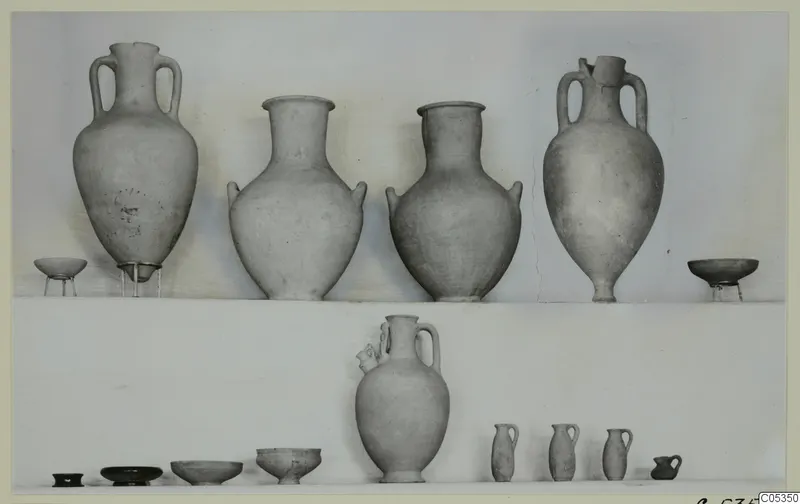 Pottery from Marion, Tomb 91: jars, bowls and small juglets set out in two rows.