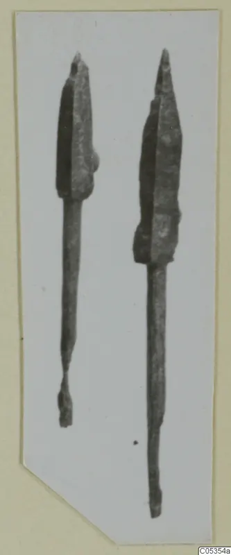 Two metal weapons with pointed blades and long tangs, shown side by side on a pale card