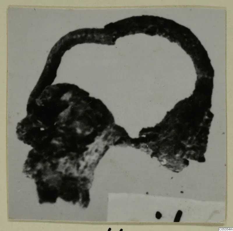 Corroded fragment of an object with a curved loop, part of an object from Marion