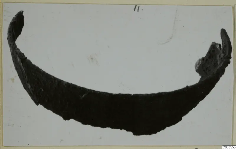 Curved sherd of a bowl from Marion against a pale background