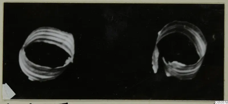 Two gold rings photographed against a black background