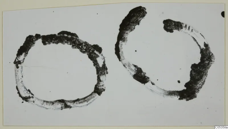 Two corroded rings, one nearly closed and one open, on a pale background; find from Vouni