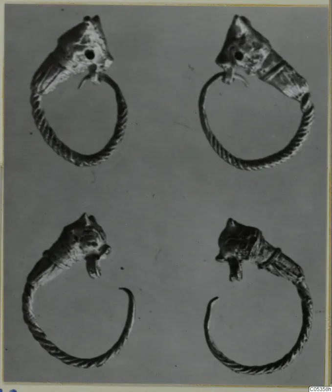 Four twisted-wire rings, each ending in a triangular head, shown on a grey background.