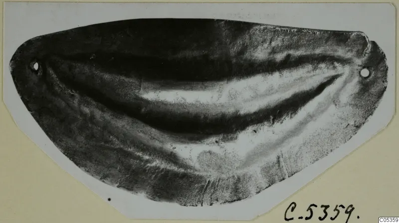 Flat, curved object with two small holes near its ends, from Marion