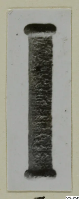 Upright cylindrical object with dark rounded ends and a rough, textured surface, from Amathus