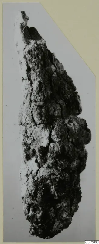 Corroded iron object from Amathus, heavily encrusted and cracked, shown upright against a grey background.
