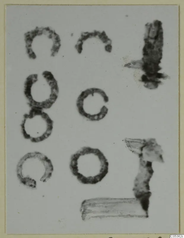Bone pieces from Amathus: several small ring-shaped fragments and two elongated pieces on a pale background