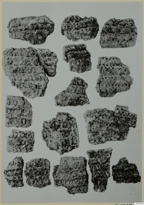 Group of corroded metal fragments with layered, pitted crusts, photographed on a grey backdrop