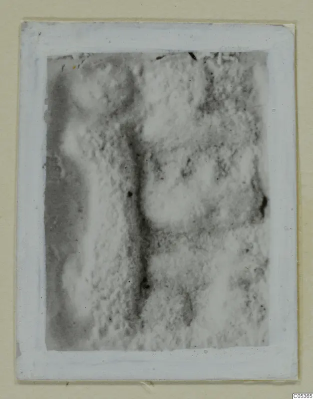Mounted photograph of a find from Amathus tomb 2-26, a soft close view of a mottled, raised surface