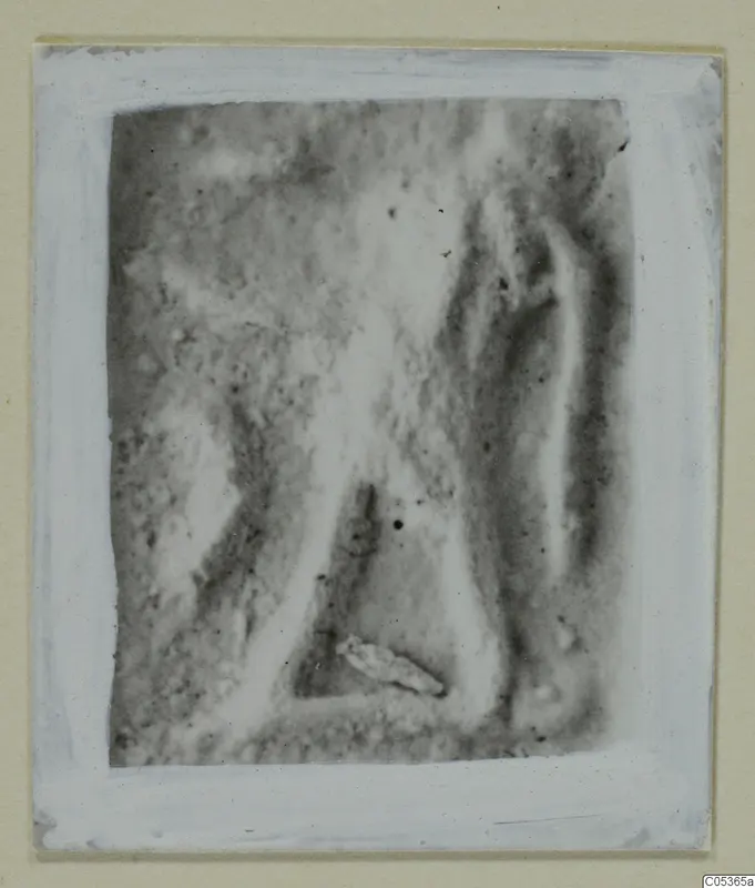 Glyptic find from Amathus, blurred photograph mounted on a white card.