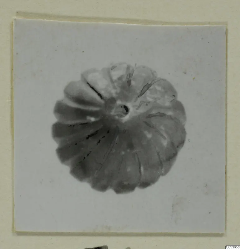 Ribbed alabaster vessel from Amathus seen from above, with a small central opening