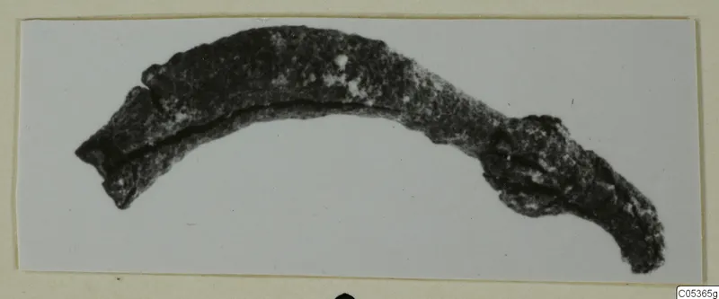 Curved, corroded bronze object from Amathus, shown against a pale ground