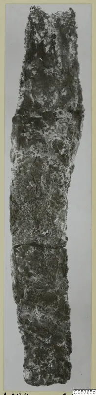 Corroded iron tool from Amathus, long and narrow, shown upright against a plain light background
