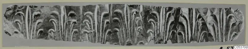 Torn strip of embossed sheet with repeated arch motifs, a find from Amathus