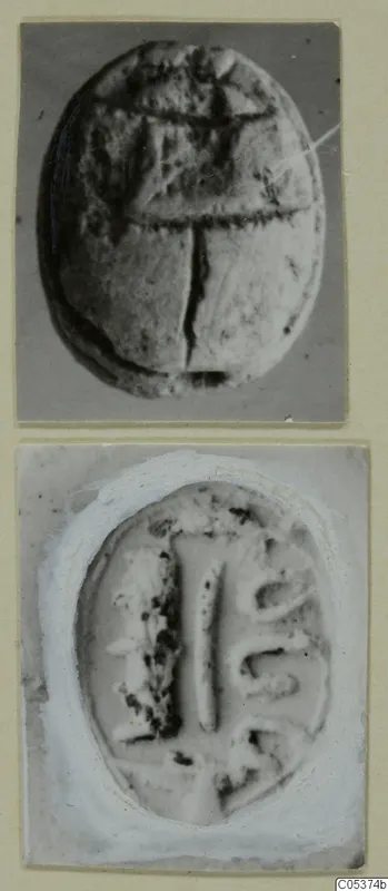 Scarab seal from Amathus shown from its back and as a pale impression of its flat base, both photographs mounted on one card.