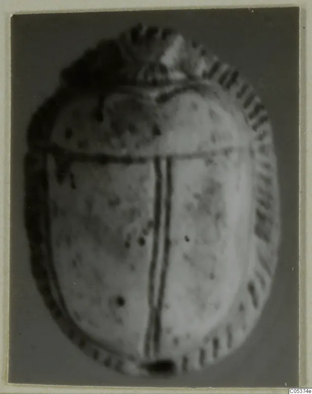 Beetle-shaped object from Amathus tombs 2-26, flat side with a ridged edge and a central line