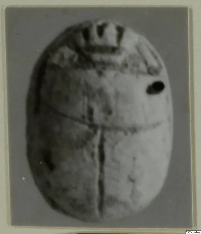 Oval scarab from Amathus with pattern decoration, photographed on a grey card