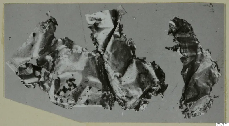 Three crumpled, thin sheet fragments from Amathus lying side by side