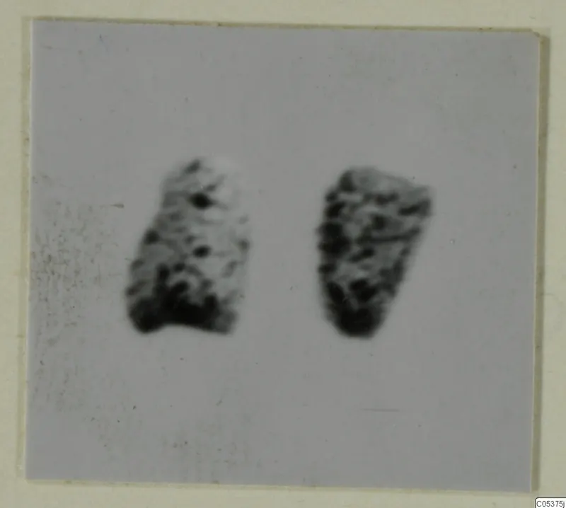 Two alabaster vase fragments from Amathus, photographed on a pale grey ground.