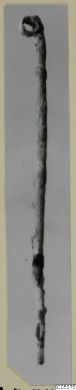 Long bronze object with a loop at its upper end, from Amathus