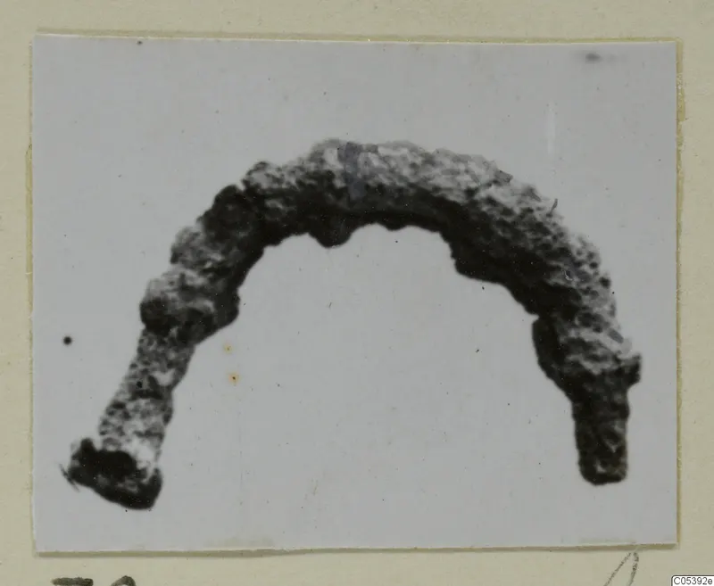 Corroded, arc-shaped metal find from Amathus, photographed on a card mount