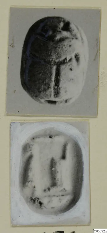 Two photographs of a scarab seal: the back of the beetle form above, and its flat base with an incised pattern below.