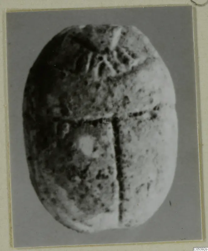 Scarab-shaped seal from Amathus, shown head-on against a grey backing.