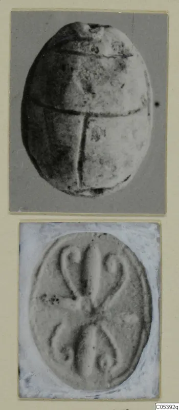 Two photographs of a beetle-shaped seal from Amathus, showing its back and its oval flat face with a raised looped design.