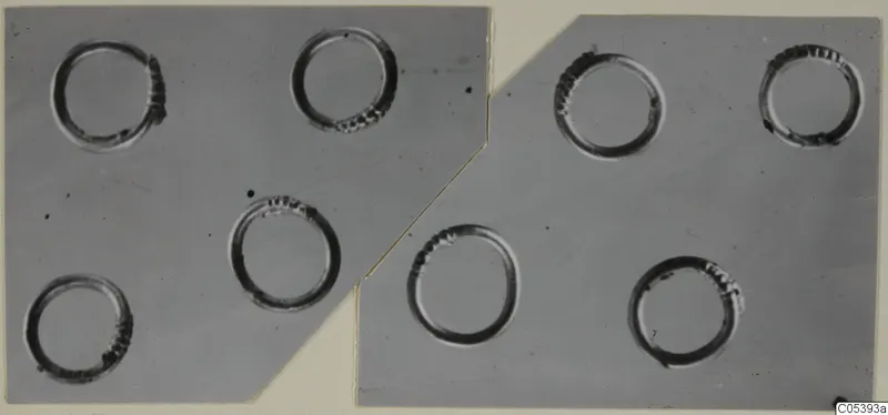 Eight rings with ridged edges laid out on a grey backdrop, from Marion tombs 46–60 finds