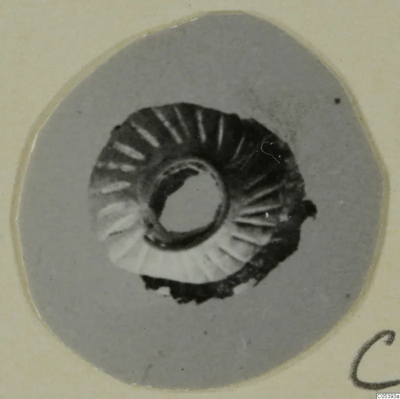 Small ring-shaped gold object with radiating grooves around its central hole, shown on a grey round card