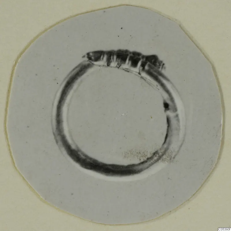 Ring with a ridged dark strip across its top, from Marion, on a round card