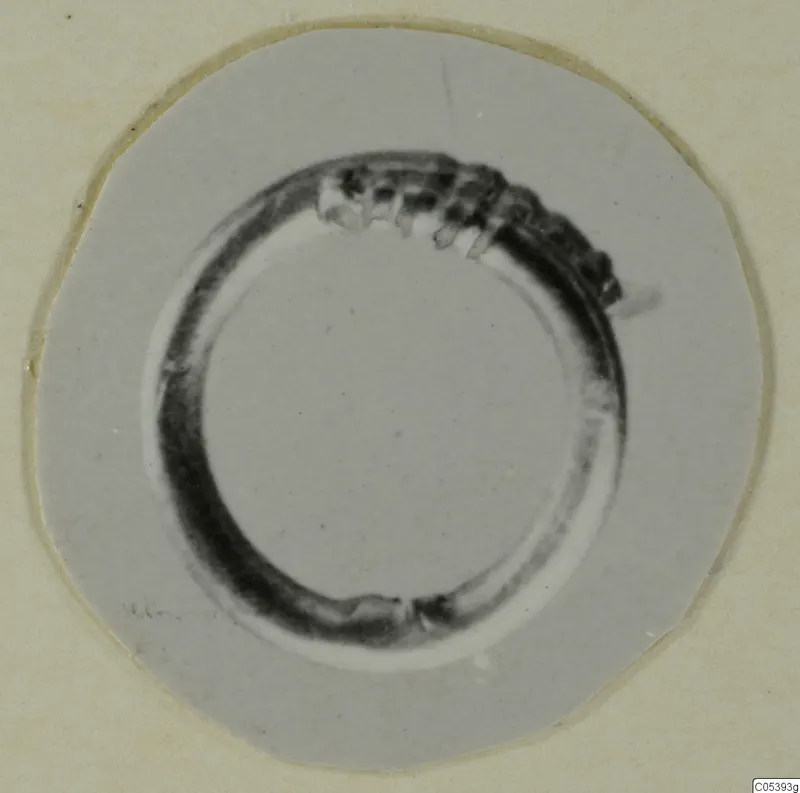 Ring from Marion, a dark circular band with a row of small notches along its upper part, photographed on a round card.