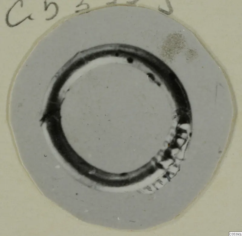 Ring-shaped object from Marion, shown on a round grey card mount.