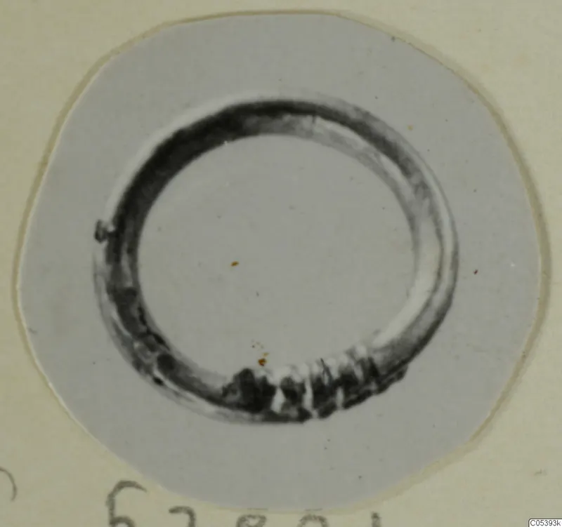 Ring-shaped metal object from Marion, photographed on a pale mount.