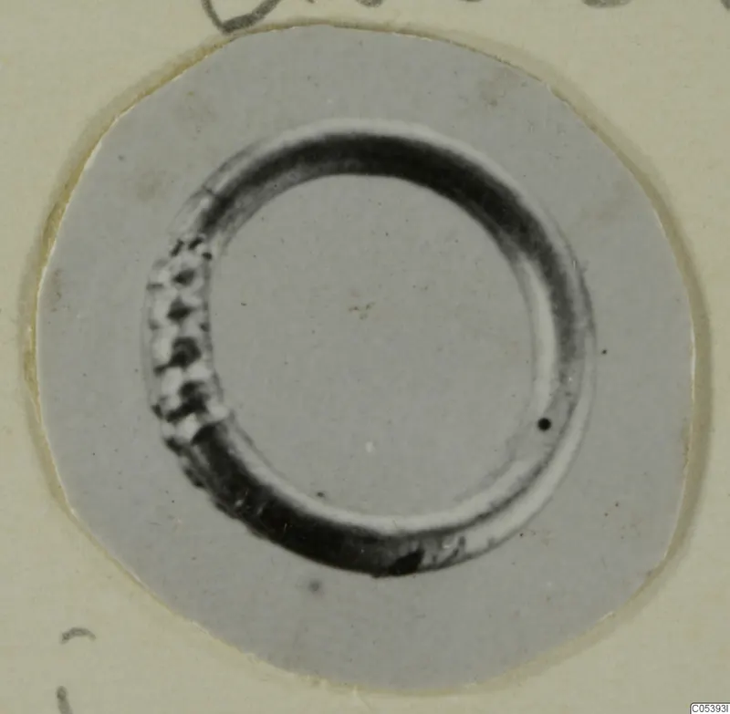 Ring-shaped metal object from Marion, photographed on a round card mount